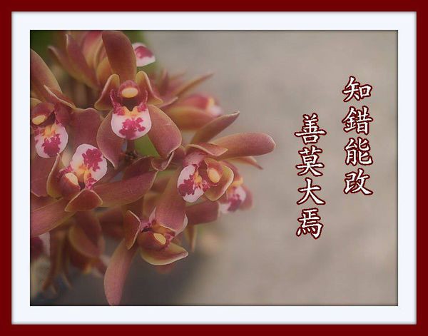 （示意圖源：互聯網）