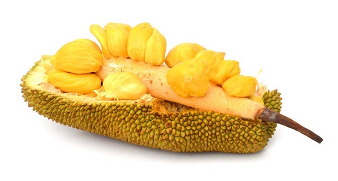 市平民醫院的醫生最近對吃過多菠蘿蜜，導致嚴重腸梗阻的H.Đ.T(63歲，家住本市)病人施手術急救。（示意圖源：SHUTTERSTOCK）