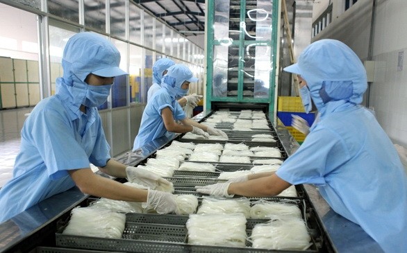 工人生產米粉一瞥。