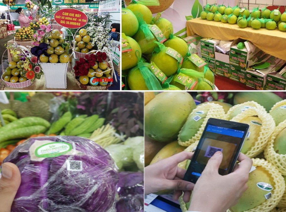 知識產權局：截至今年3月，我國約有1000種商品當中有66個地理標誌。（示意圖源：互聯網）