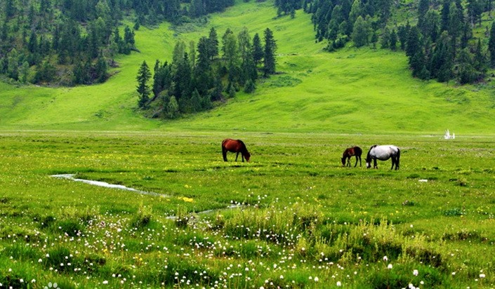 人間最後一片淨土──稻城亞丁 ảnh 3
