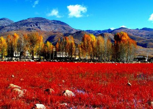 人間最後一片淨土──稻城亞丁 ảnh 1