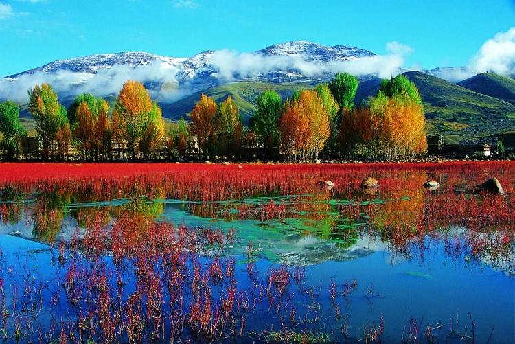 稻城亞丁風景區一瞥。