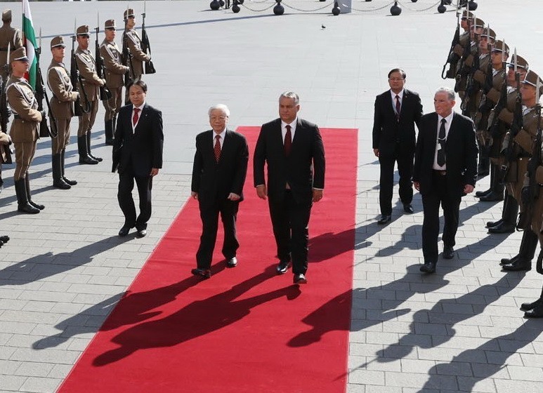 越南與匈牙利提升至全面合作夥伴 ảnh 1