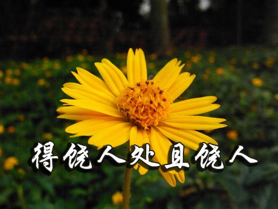 （示意圖源：互聯網）