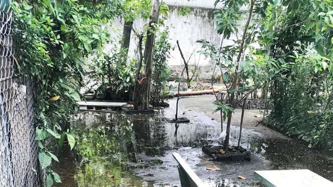 臭氣熏天廢水流入居民住房。