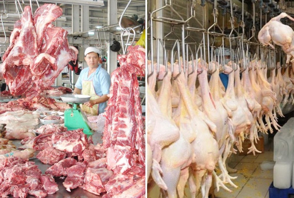 雞豬肉售價上漲。（示意圖源：互聯網）