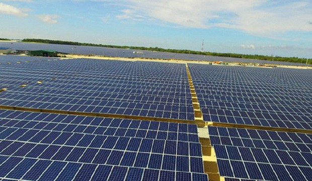 太陽能發電廠投入運營 ảnh 1