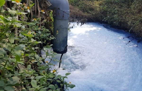 因排放超標廢棄物而造成環境嚴重污染的北部飼料股份公司被罰款近 2 億元。（示意圖源：互聯網）