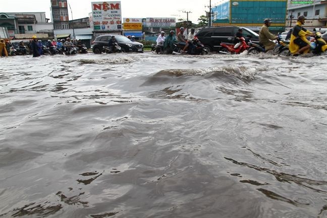 近日來，本市許多郡、縣因強降雨結合潮汛而連續嚴重受淹。