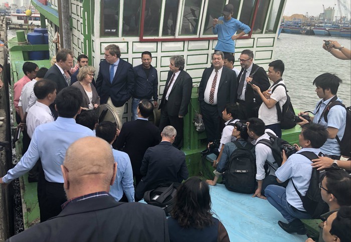 致力為漁業解除歐盟“黃牌”警告 ảnh 1