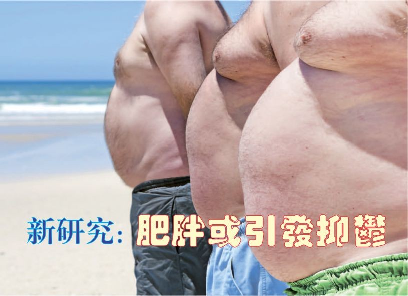 （示意圖源：互聯網）