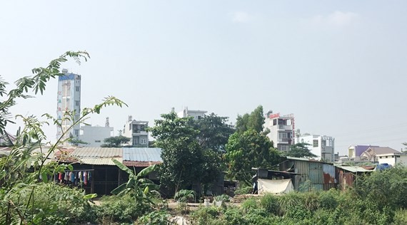 一連串非法建築工程公然冒出。