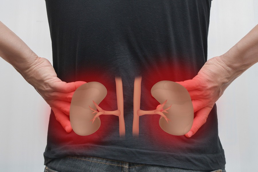 腎好不好就看這９個標準。（示意圖源：互聯網）