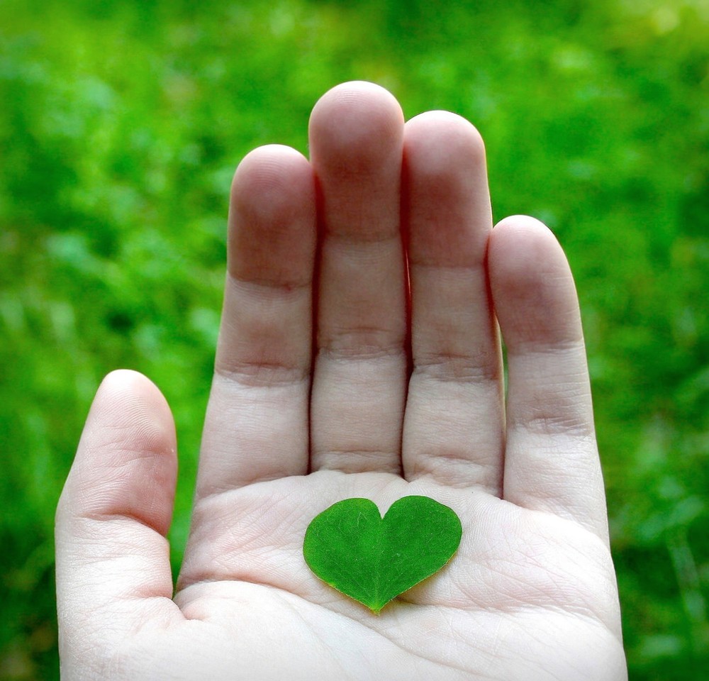 （示意圖源：互聯網）