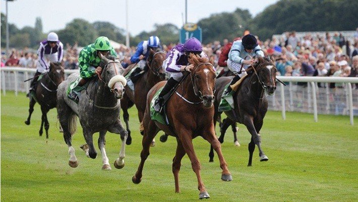 河內將建５億美元跑馬場。（示意圖源：互聯網）