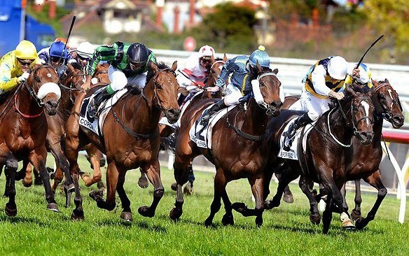 賽馬（示意圖源：互聯網）