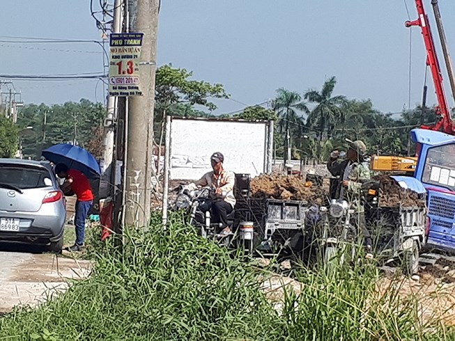 電線杆上的第九郡地皮出售廣告。