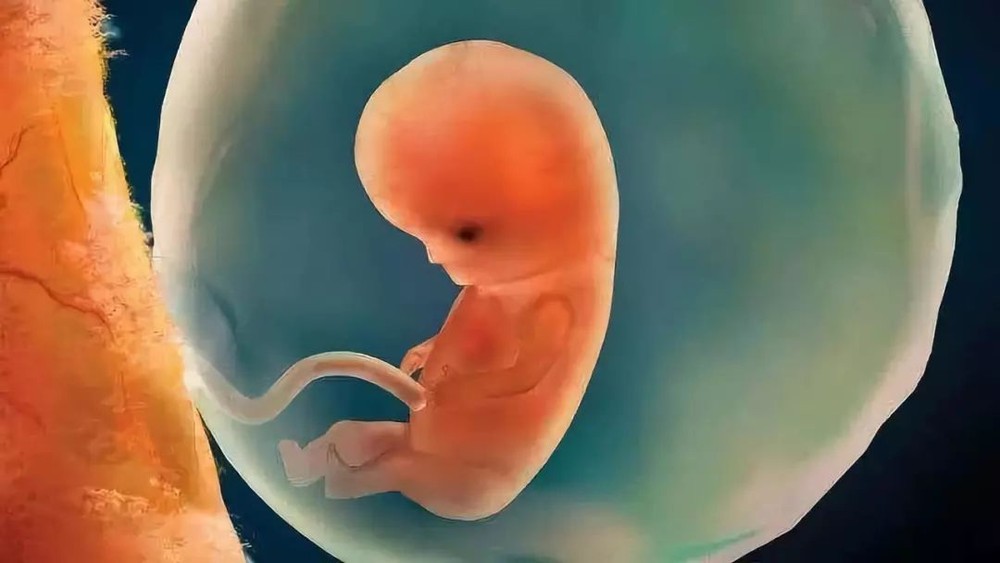 （示意圖源：互聯網）