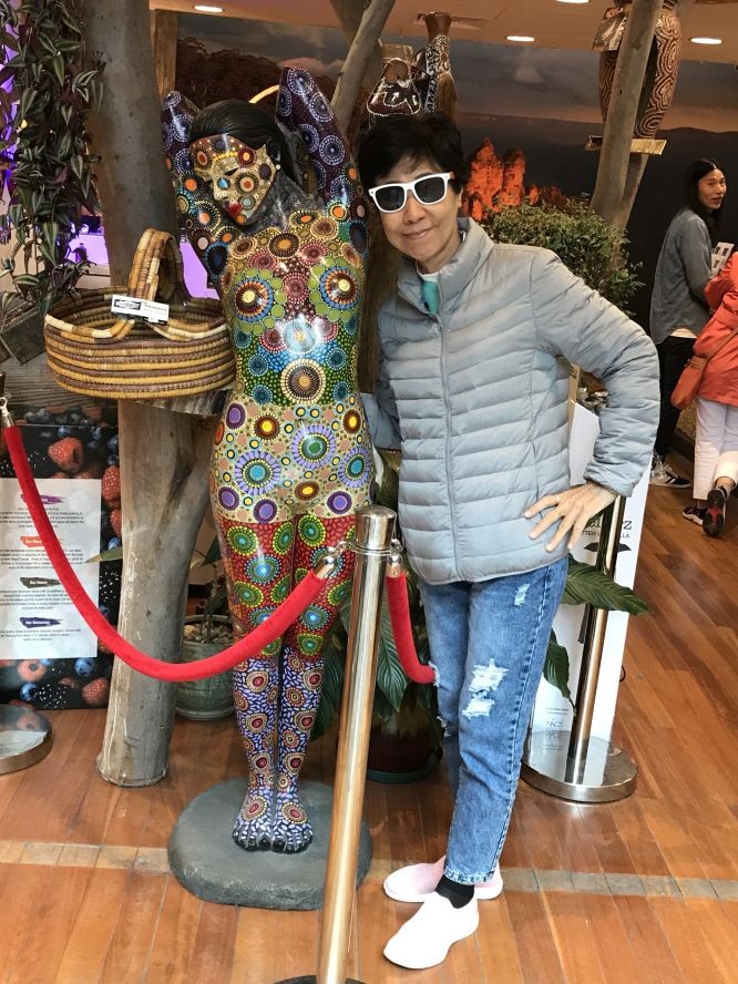 重洋以外的美麗國度 ảnh 1