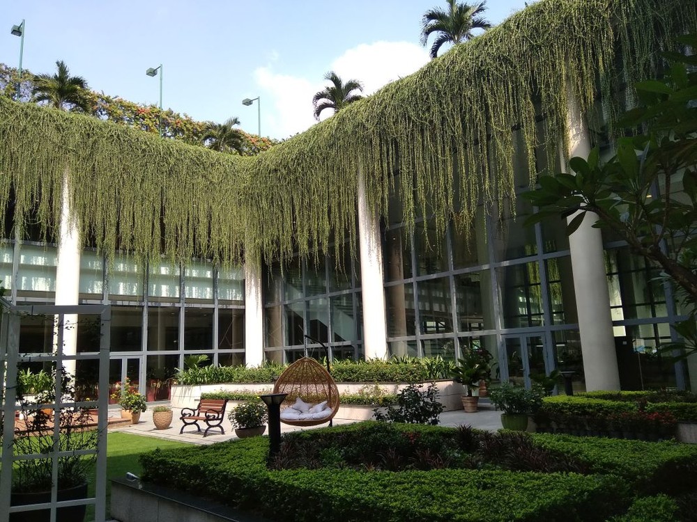 為促進省內外經濟作努力 ảnh 1