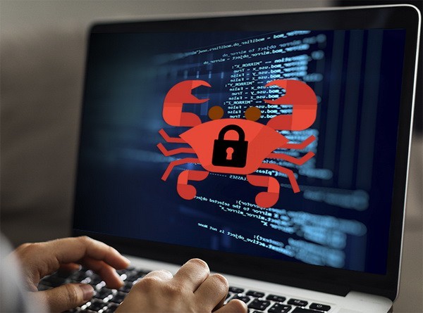 根據Bkav病毒監察系統的統計，我國3900台電腦已被上述惡意代碼感染。（圖源：互聯網）