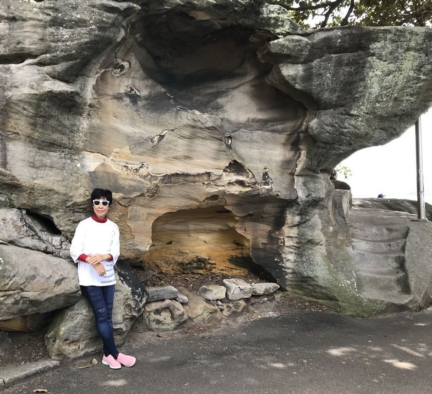 重洋以外的美麗國度 ảnh 1