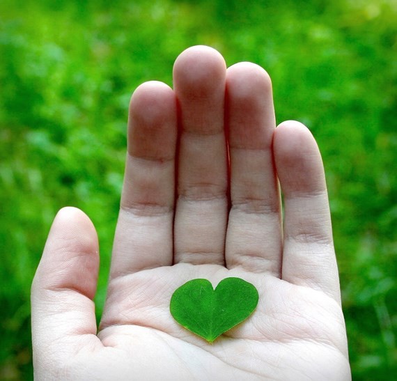 （示意圖源：互聯網）