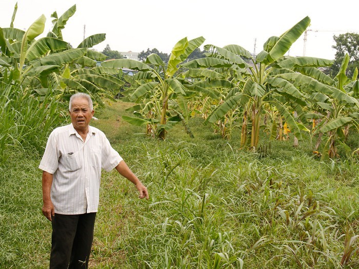鈴春坊公園規劃擱置了15年，影響居民的權益。