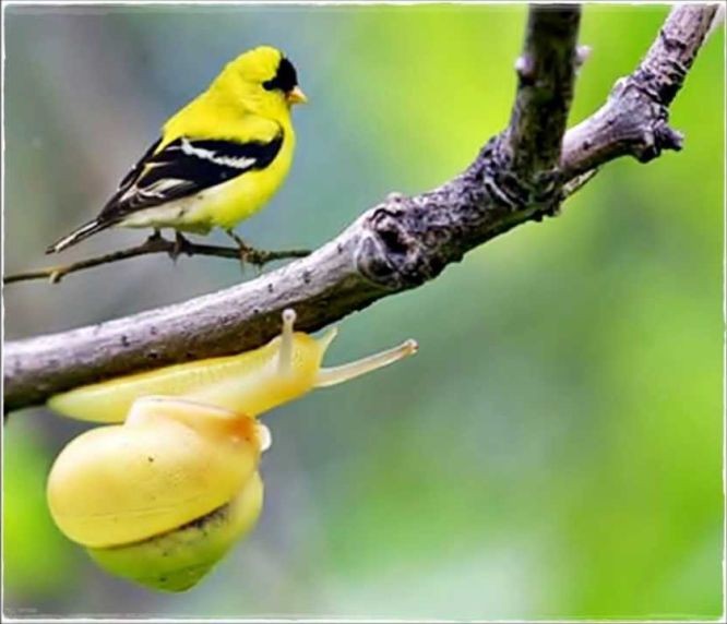 （示意圖源：互聯網）