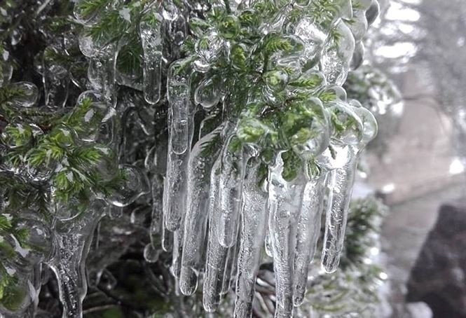 緊急應對可能形成颱風熱低壓 ảnh 2