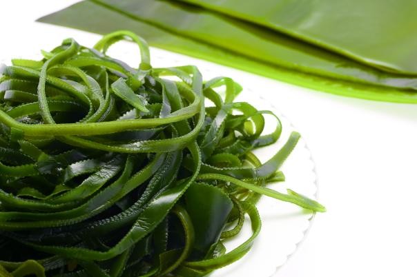 海帶。（圖源：互聯網）