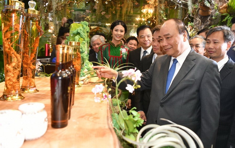 政府總理阮春福參觀玉靈參陳列室。（圖源：PV）