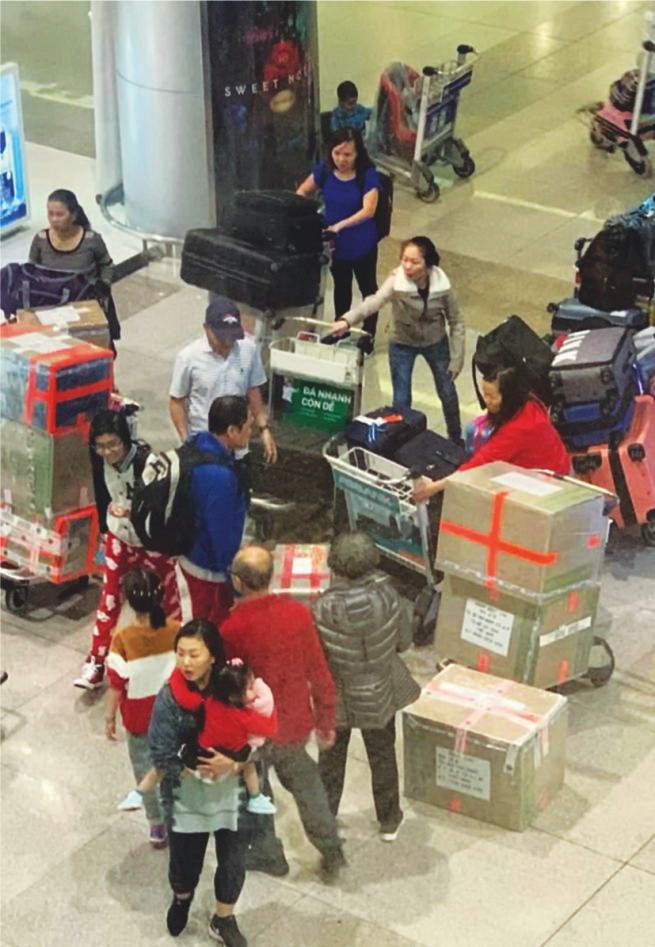 海外僑胞回國過新年 ảnh 1