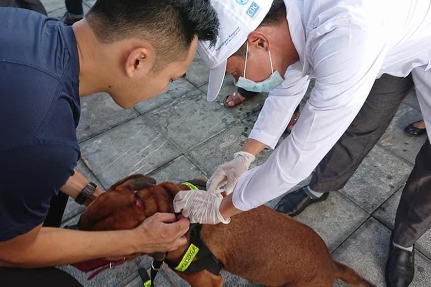 （示意圖源：互聯網）