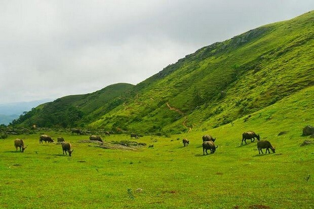 平靜迷人的同高高原。