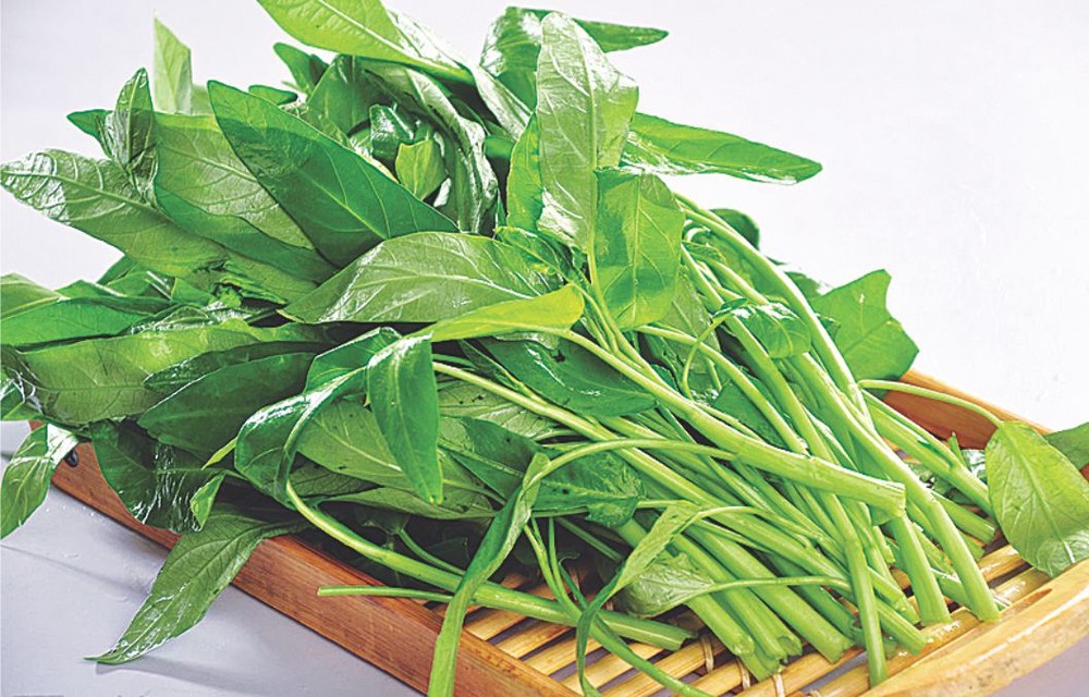 （圖源：互聯網）