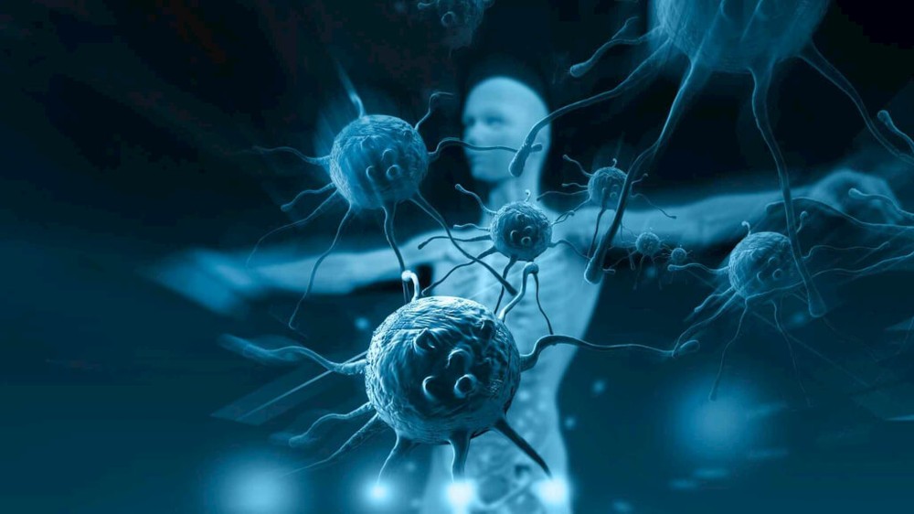 新研究：量化免疫「年齡」可預測死亡風險。（示意圖源：互聯網）