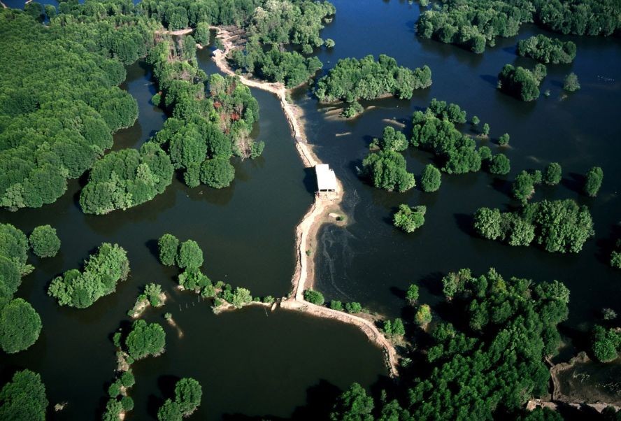 圖為本市芹耶縣的世界生物圈保護區一瞥。（圖源：Vietnam Forestry）