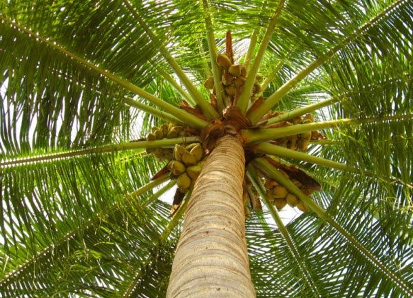 （示意圖源：互聯網）