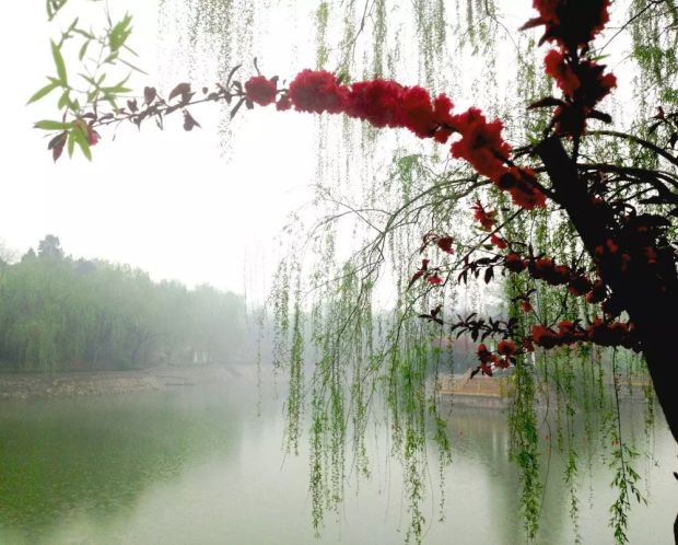 （示意圖源：互聯網）