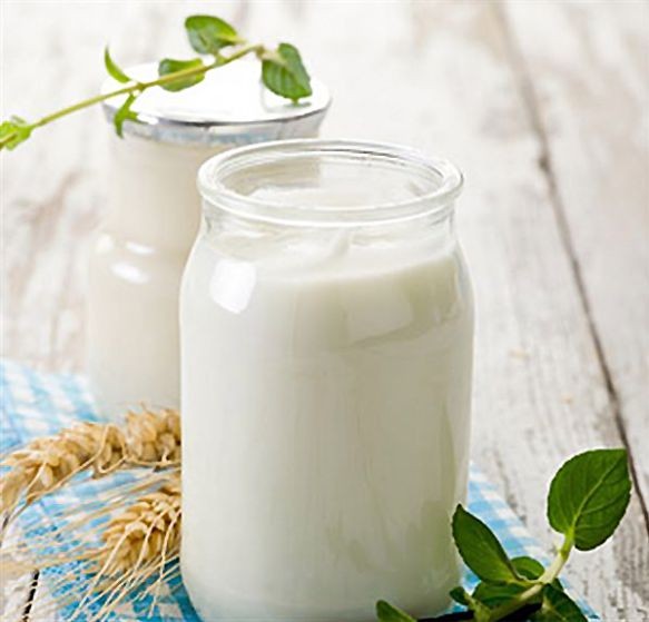 酸奶（圖源：互聯網）