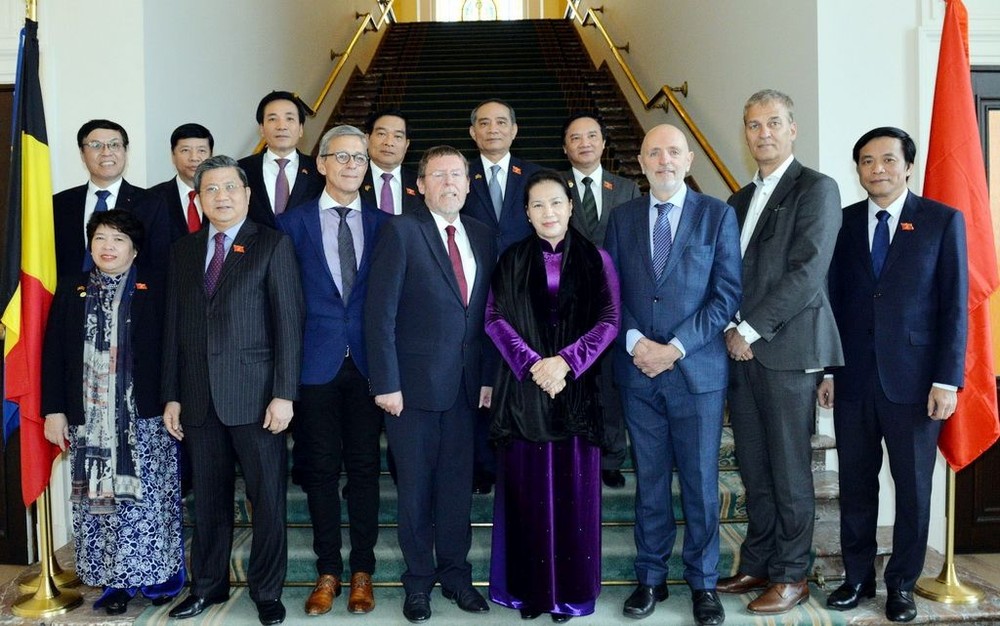 越南與比利時王國加強合作 ảnh 1