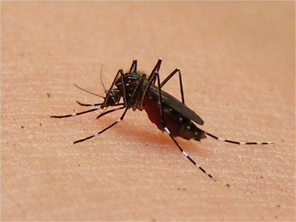 （示意圖源：互聯網）