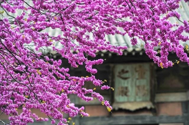 （示意圖源：互聯網）