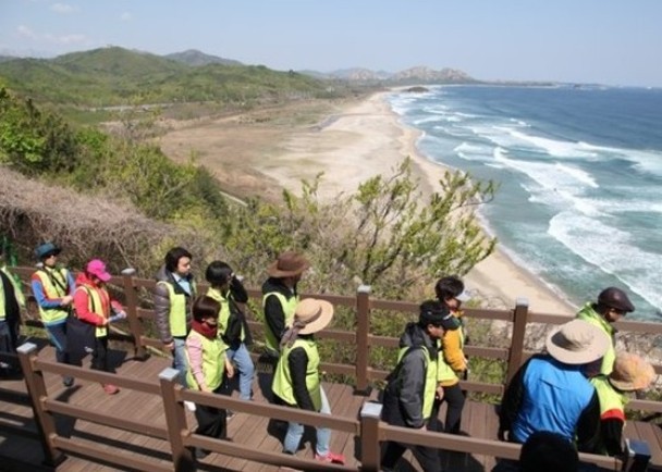 遊客在木棧道上徒步遊。（圖源：互聯網）