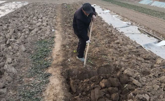 （示意圖源：互聯網）