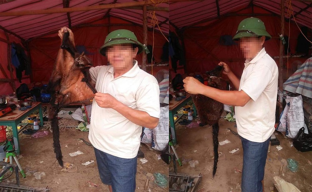 照片中有一名穿白衣、頭戴軍帽的男人站在一帳篷前，兩手提起一頭疑似貂猴動物。（圖源：陽光）