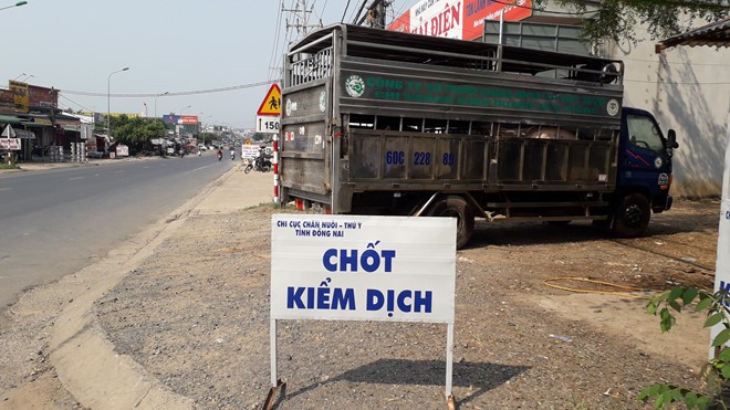 本市增設多個非洲豬瘟檢查站。（圖源：黎琳）