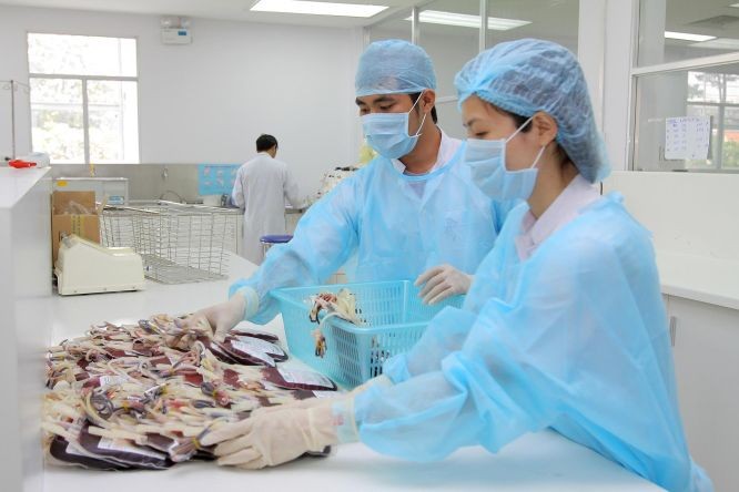 病患者從 GMP標準血庫獲得好處 ảnh 1
